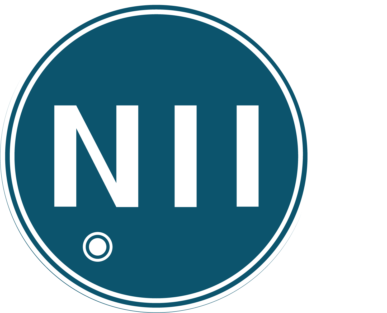 N11_Logo_petrol_frei